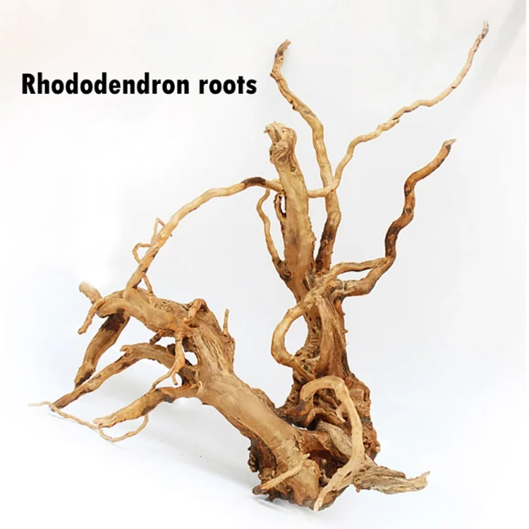 thuja smaragd kaufen holland Lebensbaum Thuja occidentalis Smaragd 100-120 cm Höhe Ballenware main image 0