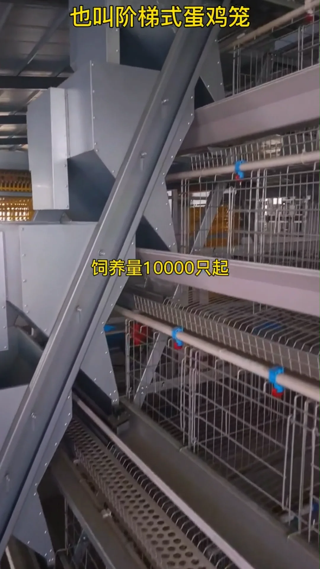 Poultry Farming Modern Design Layer Chicken Cages A Type 10000 Layer ...