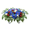 Bud royal blue chrysanthemum