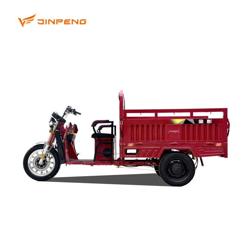 JINPENG March Promotions Open Body Velomobile Trike with Powerful 60v Electric Motor for Cargo Use