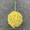 11#  Xiyan verde cinese cipolla palla gialla