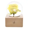 White Rose