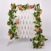 33 petites roses roses