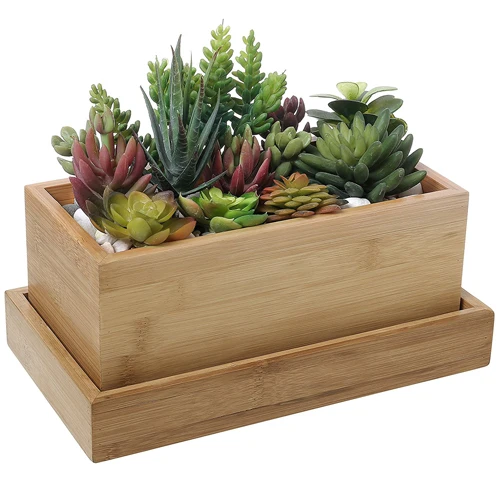100% Bamboo Succulent Planter Pot with Tray Funny Flower Pots for Indoor Plants Cactus and Herbs Housewarming Gift