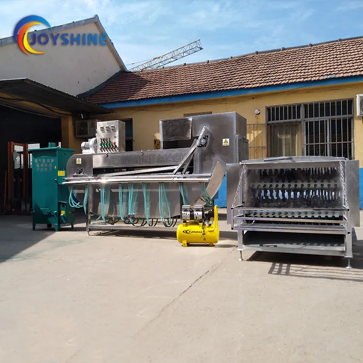 Capacity 300 Chicken Per Hour Automatic Chicken Plucker Equipment Small Slaughter Line