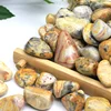 agate folle