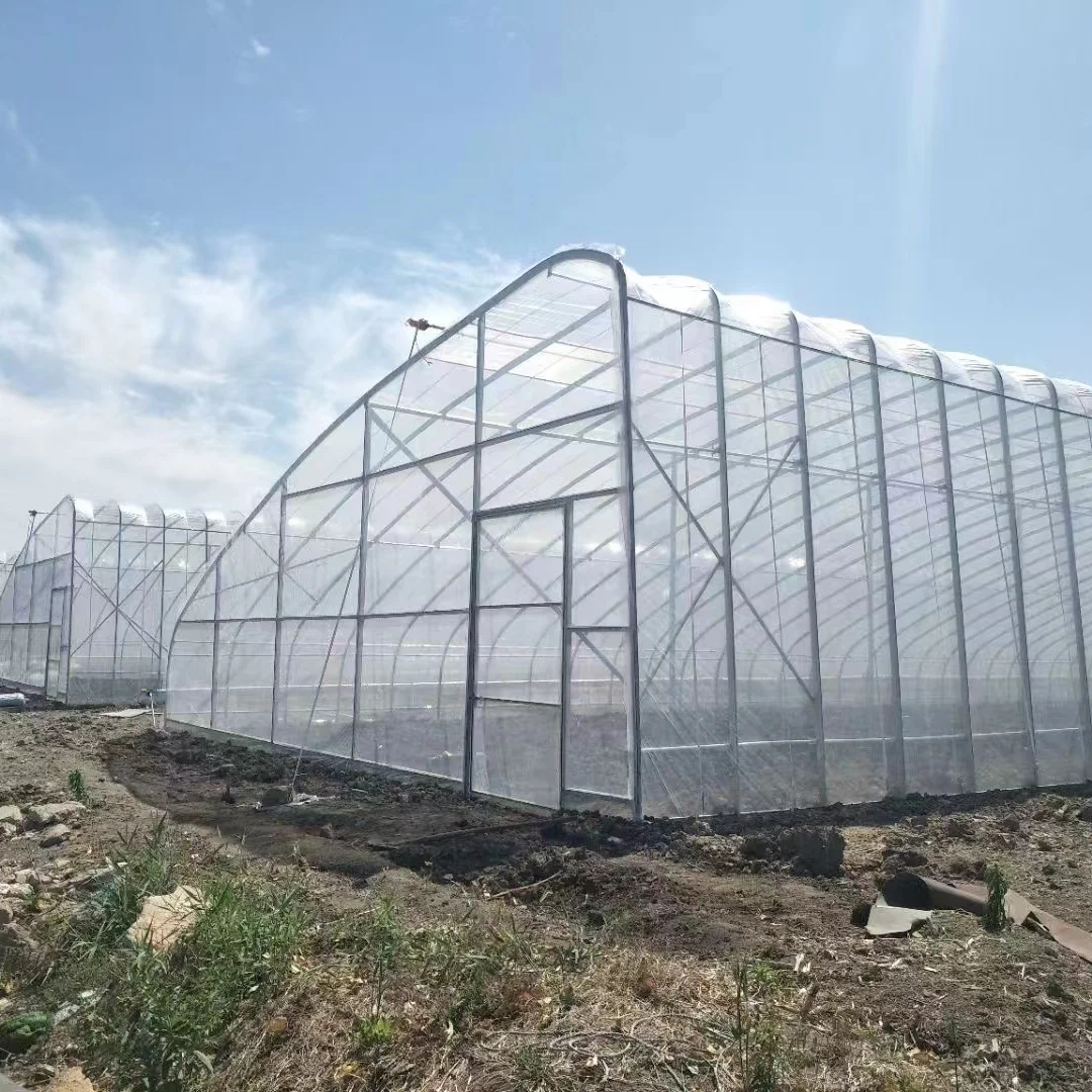 solar passive greenhouse