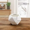 Piccolo anice 7*7*6.5cm