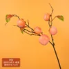 Persimmon branch with 5 fruits - orange-yellow - with leaves