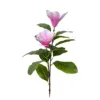 Magnolia deep pink-60cm