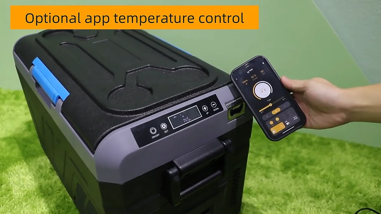 25l With Led Light Compressor Portable Cooler Box Portable Car Freezers ...