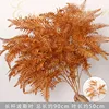 Caramel-colored, long-stemmed Persian leaf branches