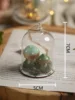 Long column glass lampshade-Mushroom mushroomAStyle