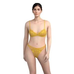 Women's Luxury Nylon XL Size Lace Mesh Bra Panty Set Custom Hot Sexy Wholesale Silk Underwear with Embroidery Decoration