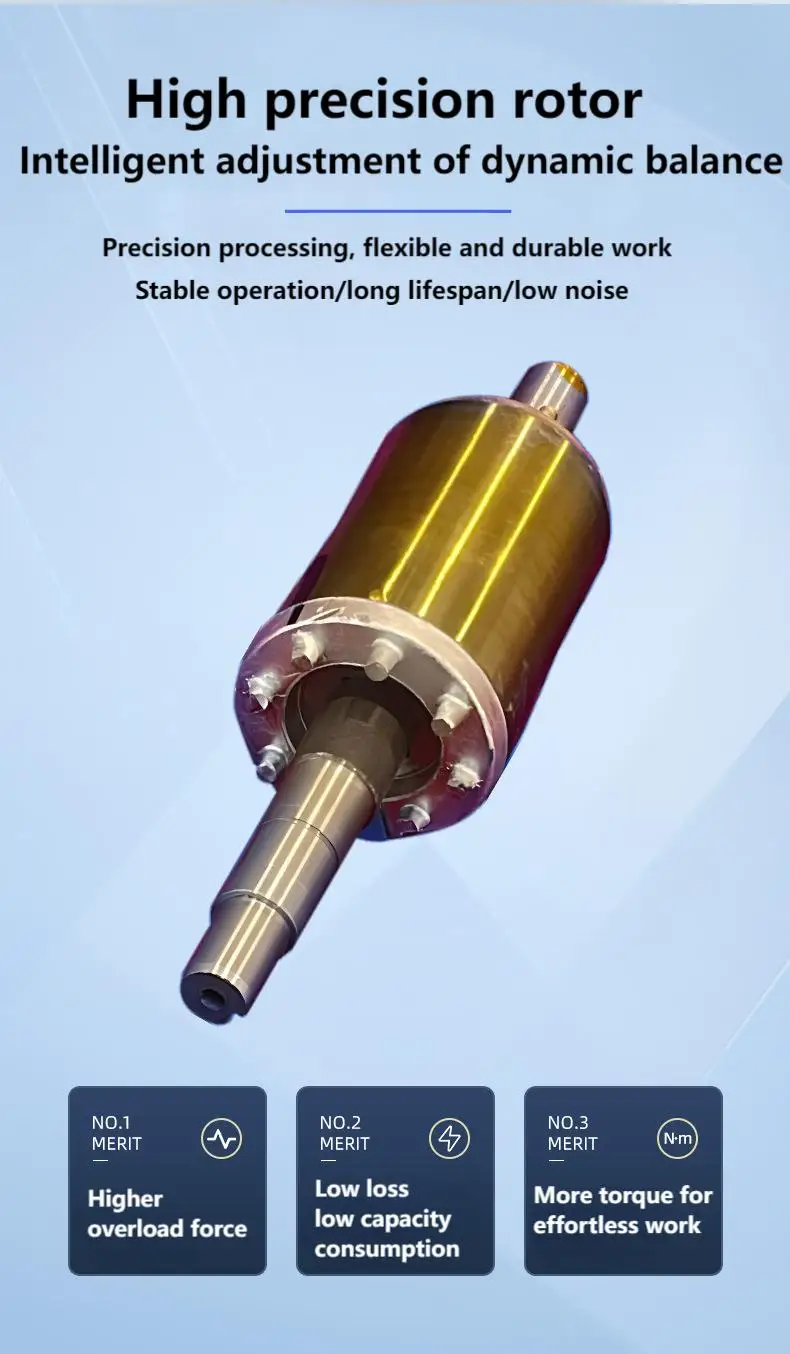 Permanent Magnet Synchronous Frequency Conversion Motor