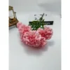 Rosa pesca