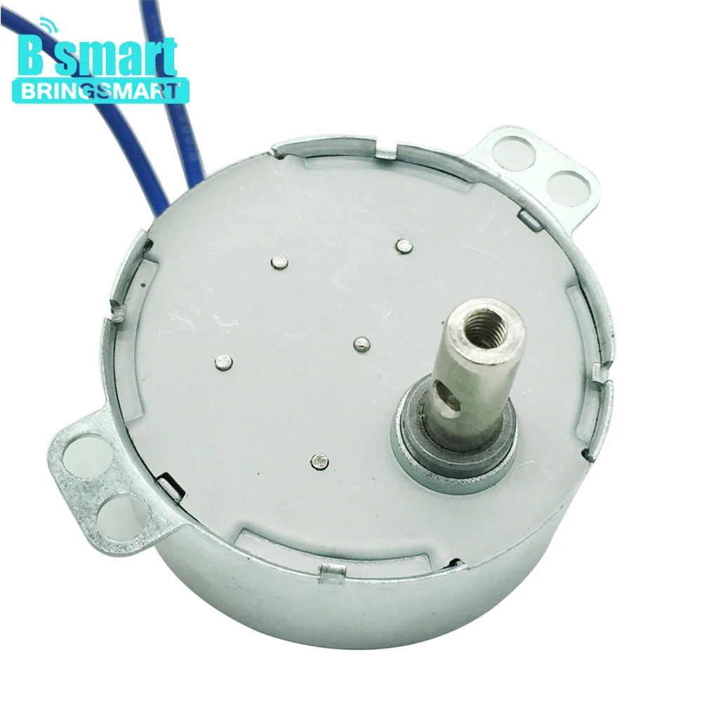 BRINGSMART TYC-50 TYC-50(T) Plastic Gear or Metal Gear 12V 24V 220V 110V CW CCW CW/CCW Mini AC Electric Motor Synchronous Motor