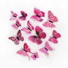 Cerise