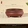 Viola-diametro 16,8 cm-altezza 7 cm-confezione da 5