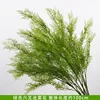 Green six-pronged mist flower branch