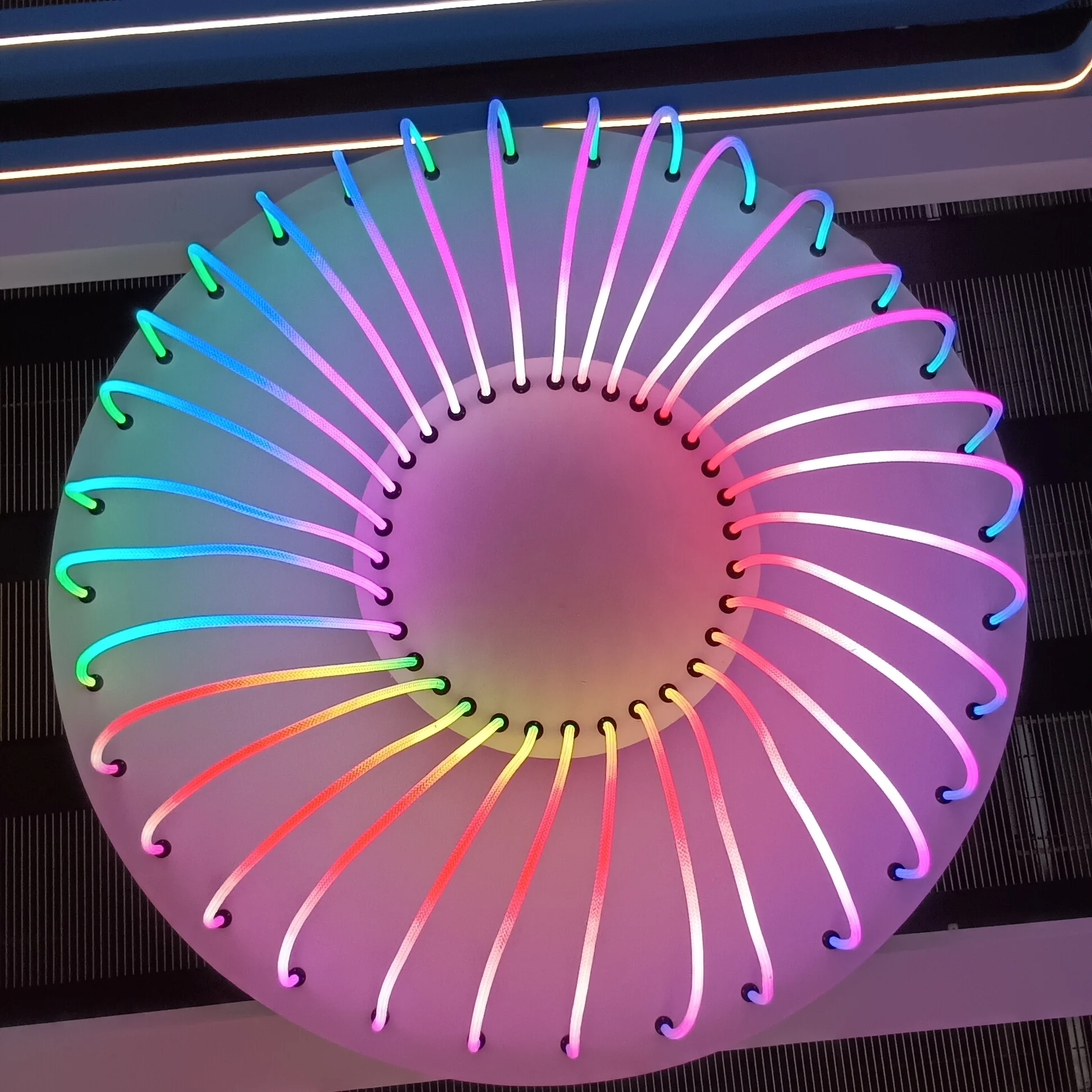 Smart WIFI Control Neon Tube Best Selling 360degree RGBIC LED Strip Light Dream Color