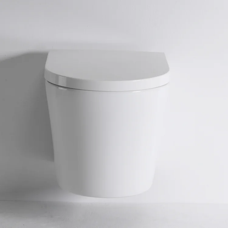 short mounted toilet