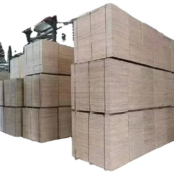 wood Plywood High Grade Low Price Eucalyptus Core Playwood Film Faced Plywood Specification