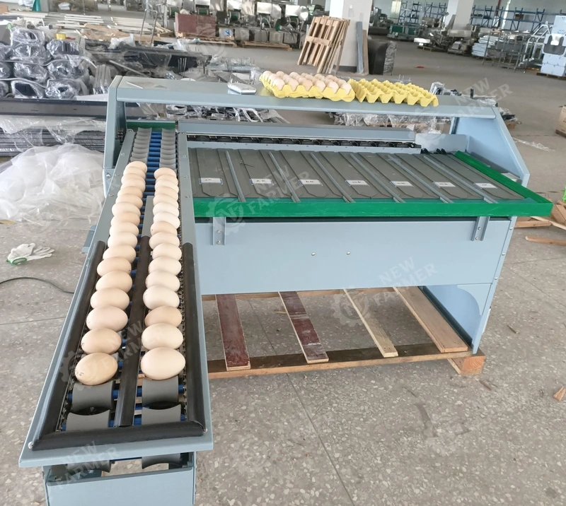 Automatic Electric Big Capacity Sizer Pack Egg Clean Grade Machine Classifier Weigh Weight Washer Grader