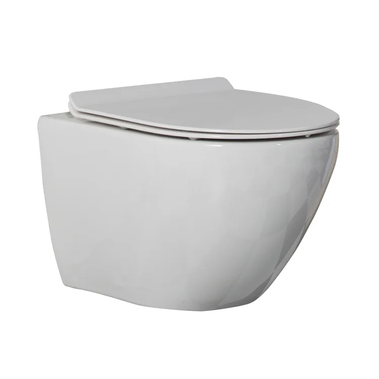 wall mounted water saver toilet