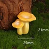 No. 4 Chicken Fungus