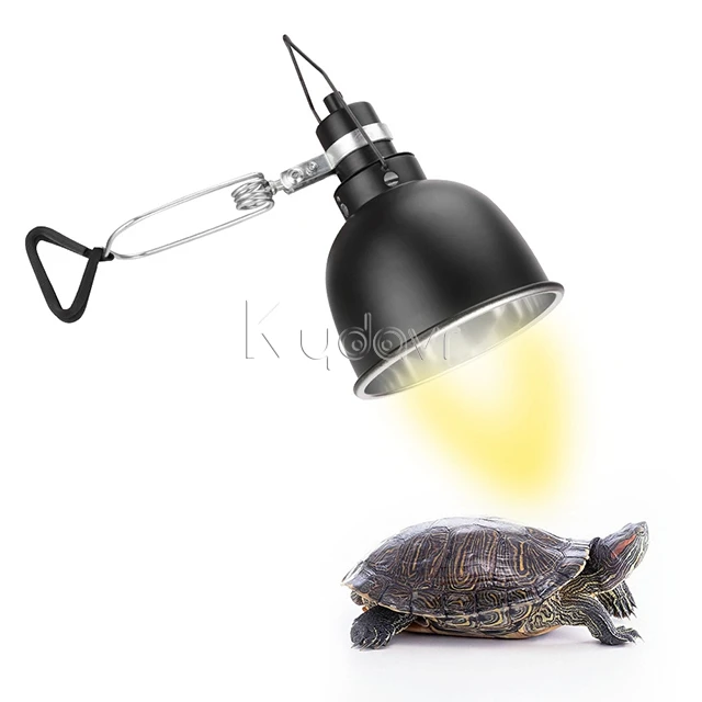 tortoise lamp bulb