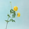 yellow branch