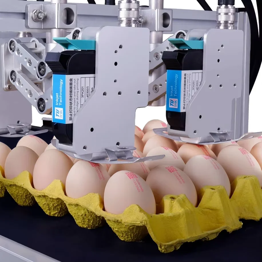Automated Inkjet Printers for Barcode Marking for Logistics and Battery Printing Beverage Bottle Expiration Date Printer