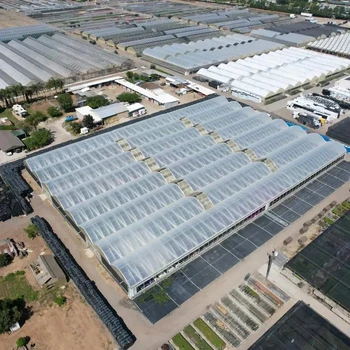 Bafangle Thin Film Multi-Span Agricultural Greenhouse for Hydroponic Growing