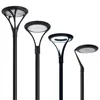 Negro