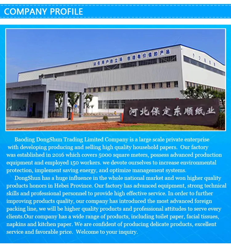 Oem Low Price Manufacturers Wholesale Facial Tissues 3ply 4ply 5ply Super Soft Water Absorbent