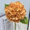 Naranja de otoño
