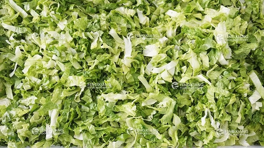 Salad Vegetable Production System Industrial Vegetable Washing Cutting Drying Processing Line