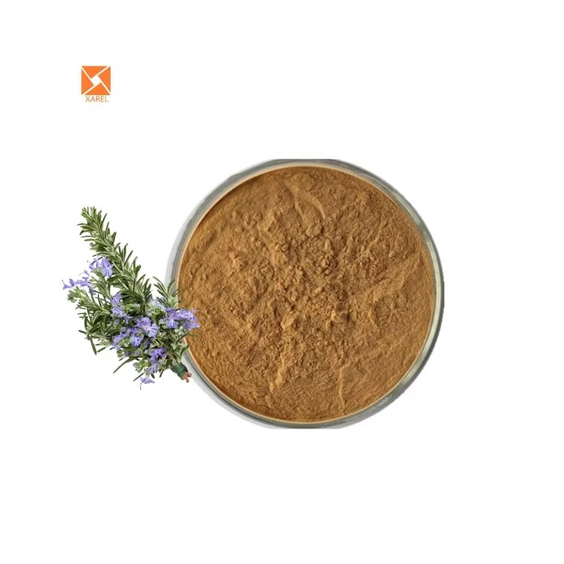 100% Natural Extract Pure Rosemary Extract Powder Rosemary Extract Halal