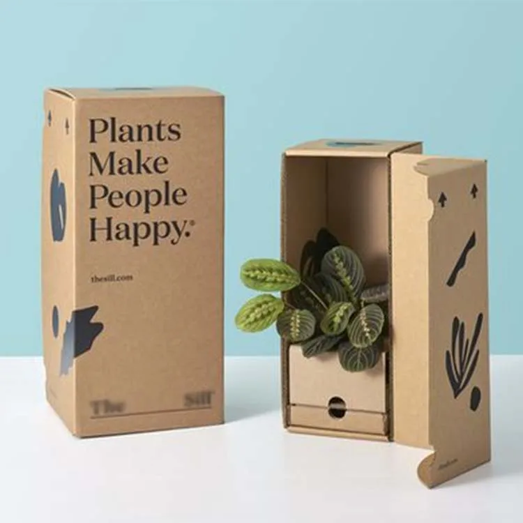 FPG custom succulent packaging live cardboard plants shipping box