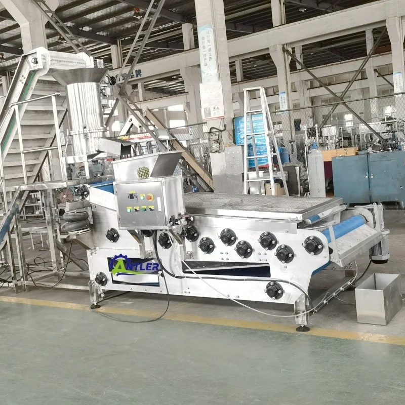 Cider Pooring Machine Alibaba.com: Cidery Apple Cider Making Machine Belt Press: Efficient ...