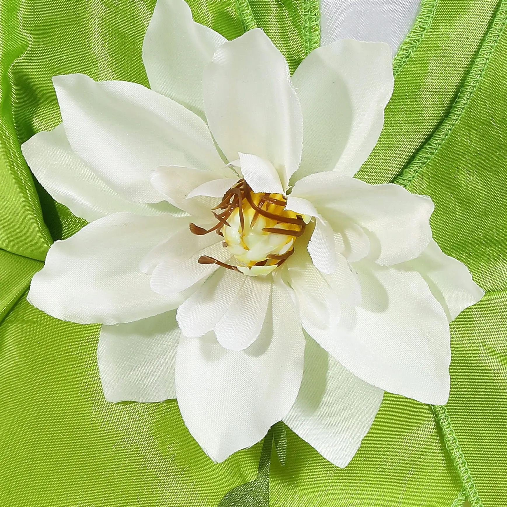 Tiana Green Fairy Frog Princess Dress - Perfect for Parties