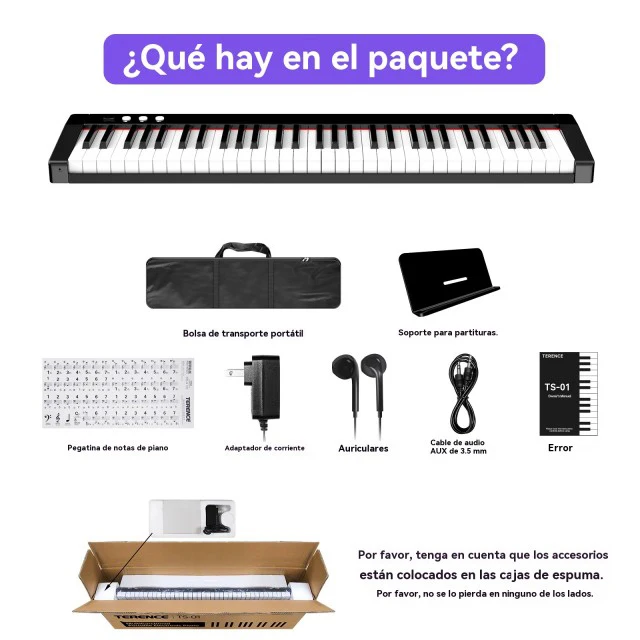 TERENCE TS-01 61-Key Electronic Digital Keyboard & Portable