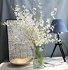 Fiore di orchidea bianca a 5 rami
