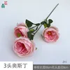 3 Austin ZYJ rose