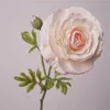 Senti 2-rosa chiaro