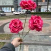 3 laffey horn rose red