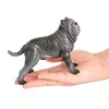 2927 Chien Mastif Napolitain
