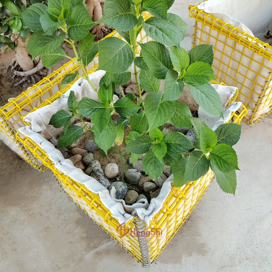 Yellow PVC Coated Welded Wire Mesh Gabion Plant Box for Flower Pots & Planters