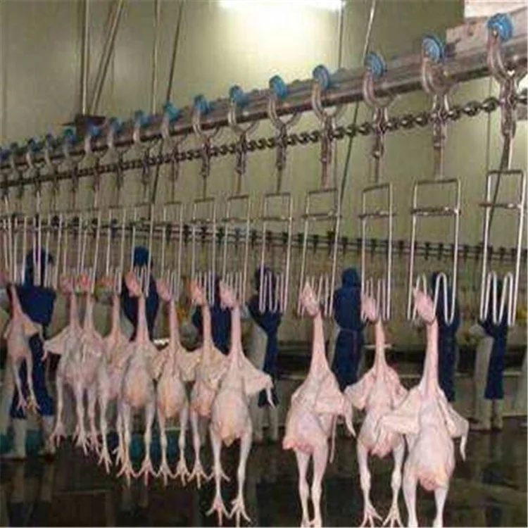 2000/3000 chickens per hour slaughtering and processing line machine